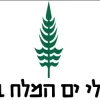 ים המלח